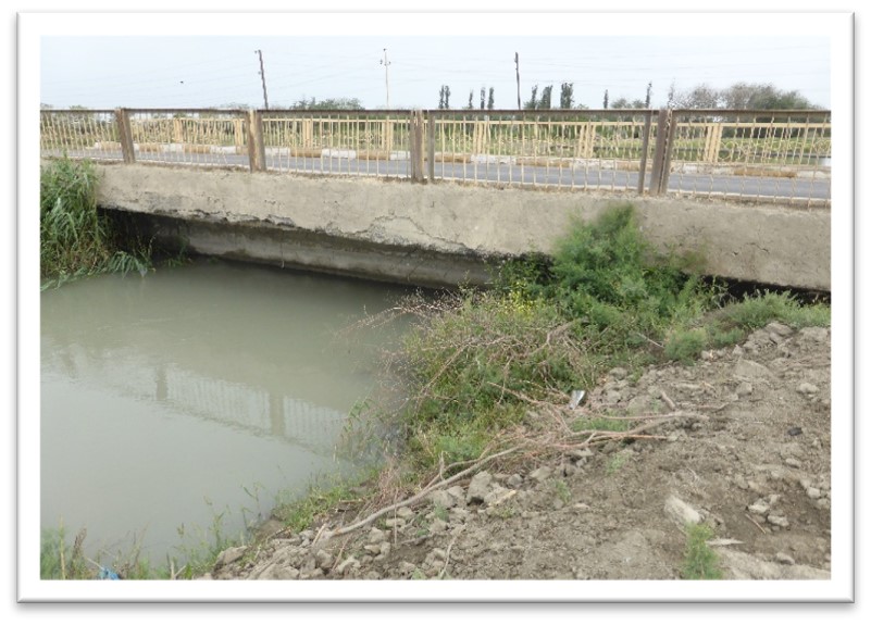 description of image 1