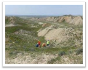 description of image 1